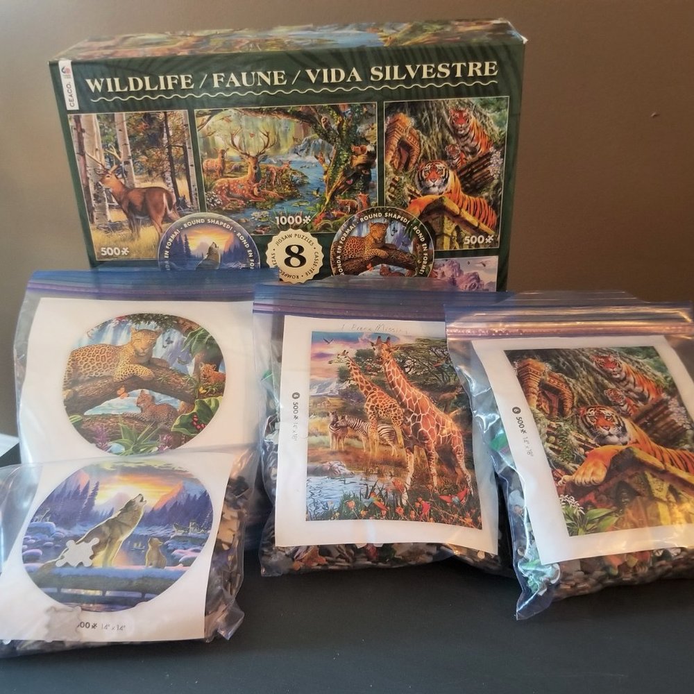 Puzzle Set - Picture 3 of 3